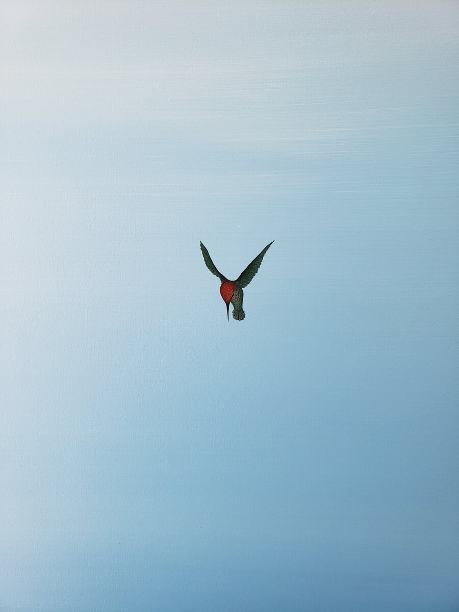 Hummingbird